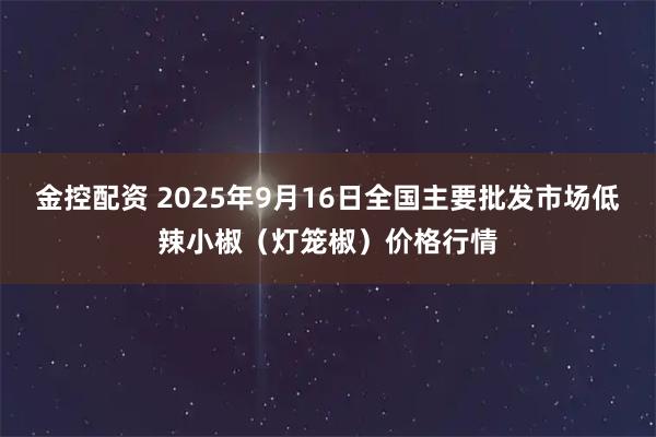 金控配资 2025年9月16日全国主要批发市场低辣小椒（灯笼椒）价格行情