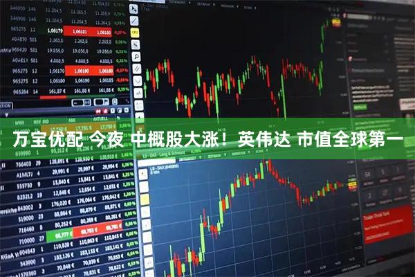 万宝优配 今夜 中概股大涨！英伟达 市值全球第一