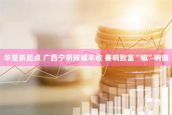 华楚新起点 广西宁明辣椒丰收 奏响致富“椒”响曲