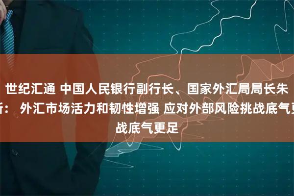 世纪汇通 中国人民银行副行长、国家外汇局局长朱鹤新： 外汇市场活力和韧性增强 应对外部风险挑战底气更足