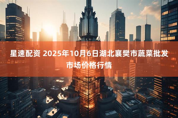 星速配资 2025年10月6日湖北襄樊市蔬菜批发市场价格行情